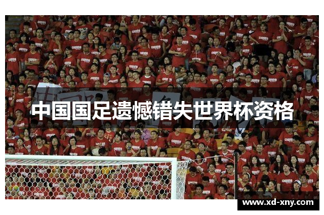 中国国足遗憾错失世界杯资格